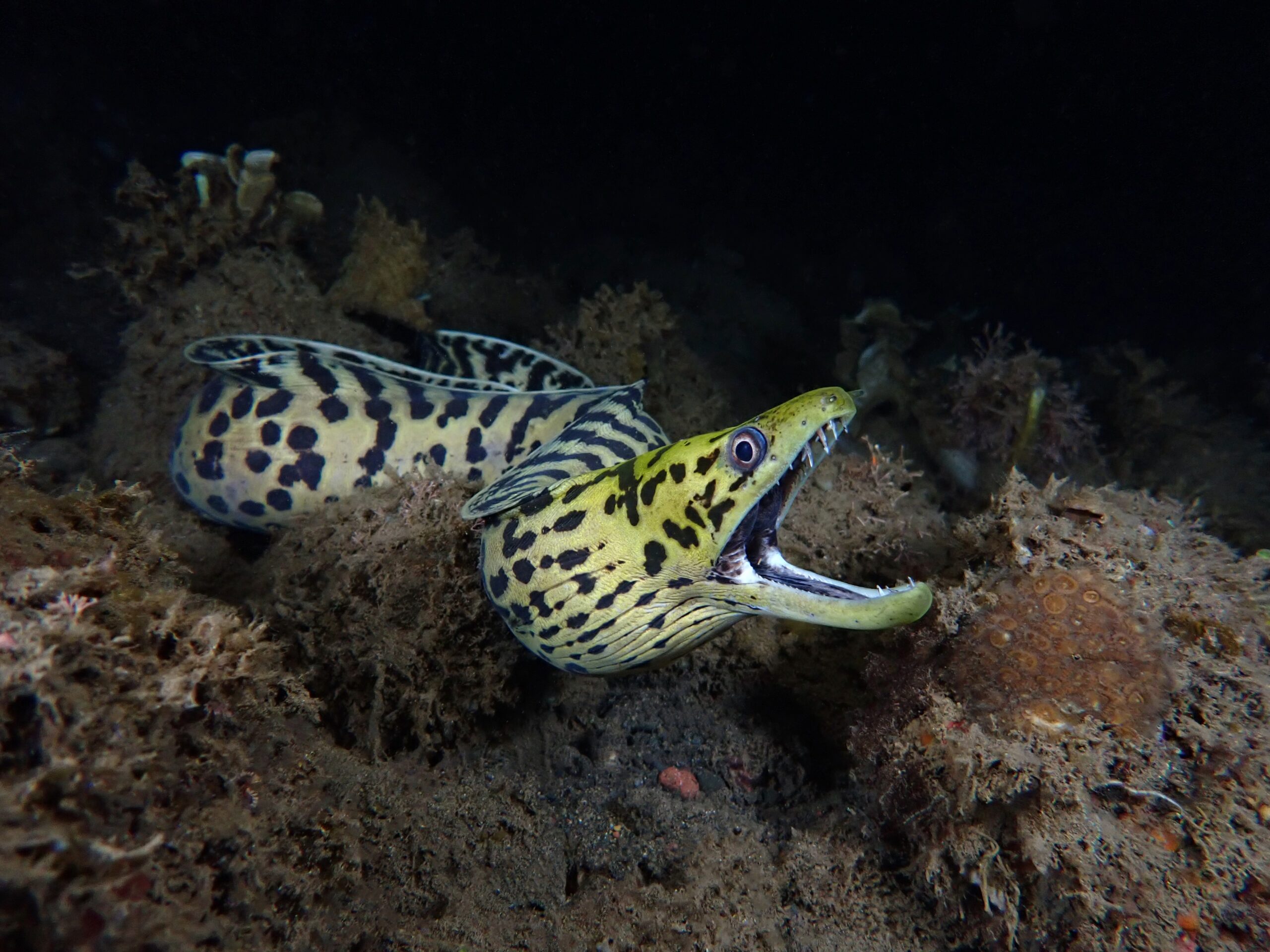 130A1C42-99F3-4B27-AB71-D636725B8617