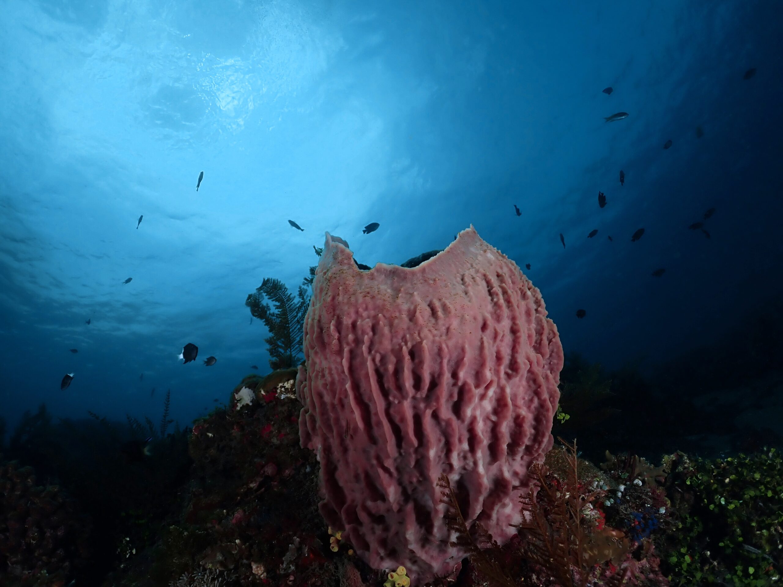 6467DCFB-EF58-4F3A-AC64-EFF0A604837D_1_201_a