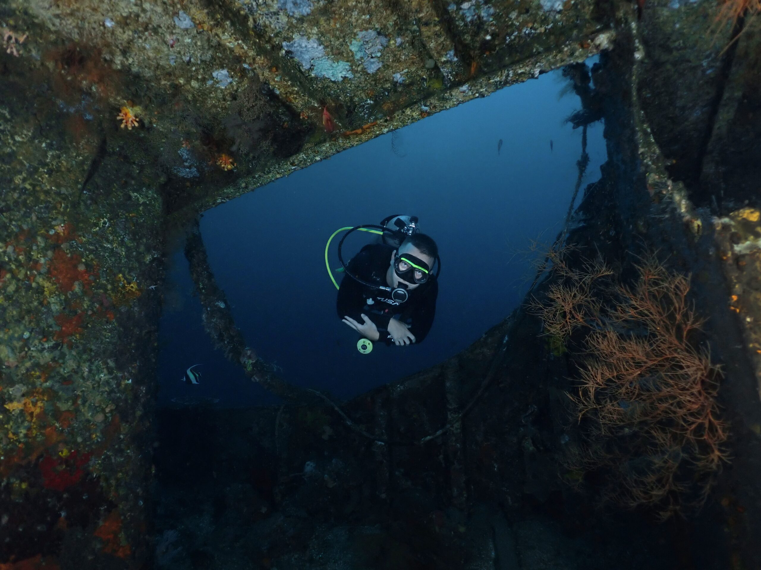 72CB2C3B-DB86-41EB-86A8-2FCCB7C68044