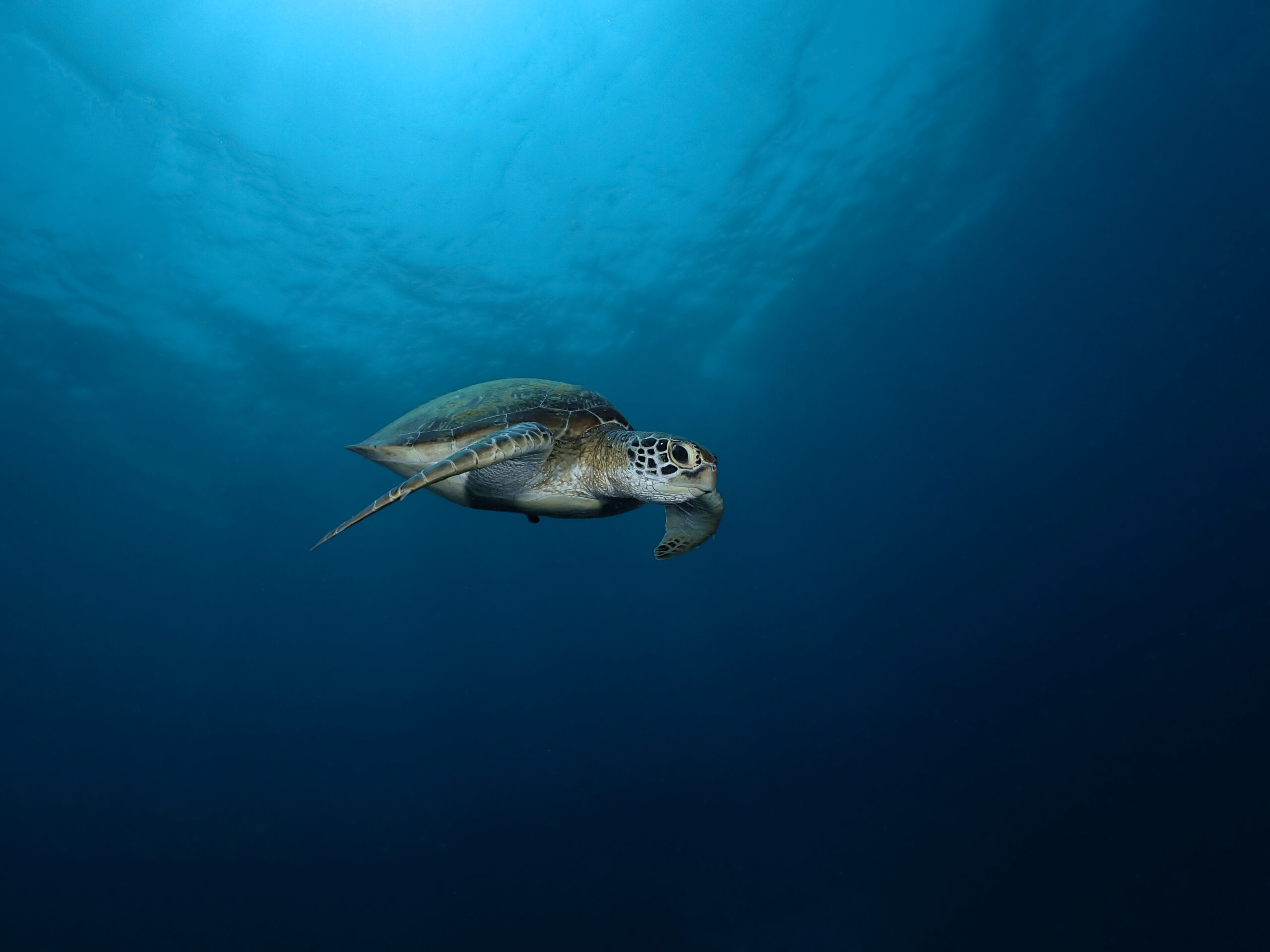 AA9CF47E-1E54-4231-9A4E-237B3AA0EBBB