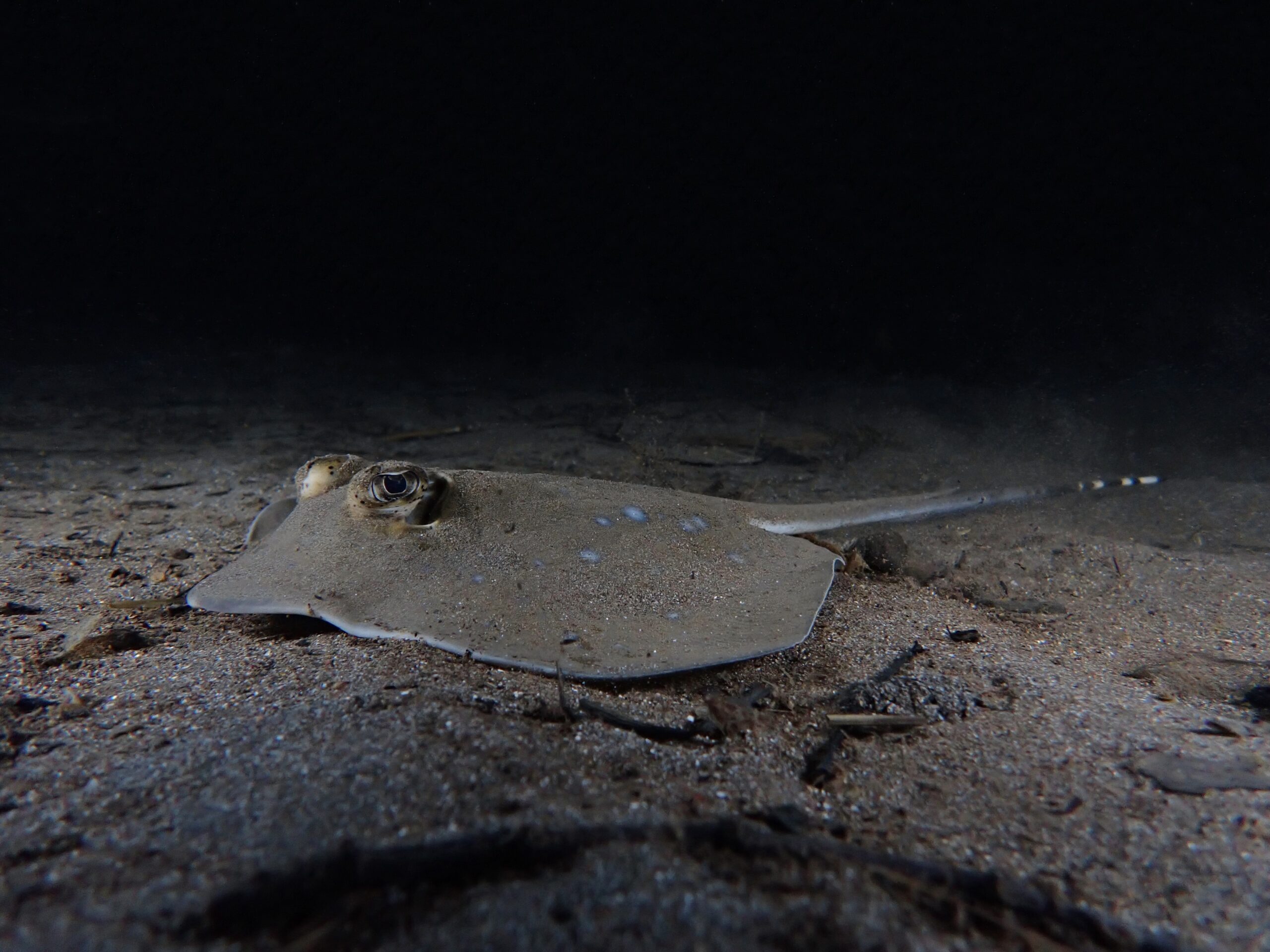 B8E220B9-CCE1-45AD-8733-668074A25880