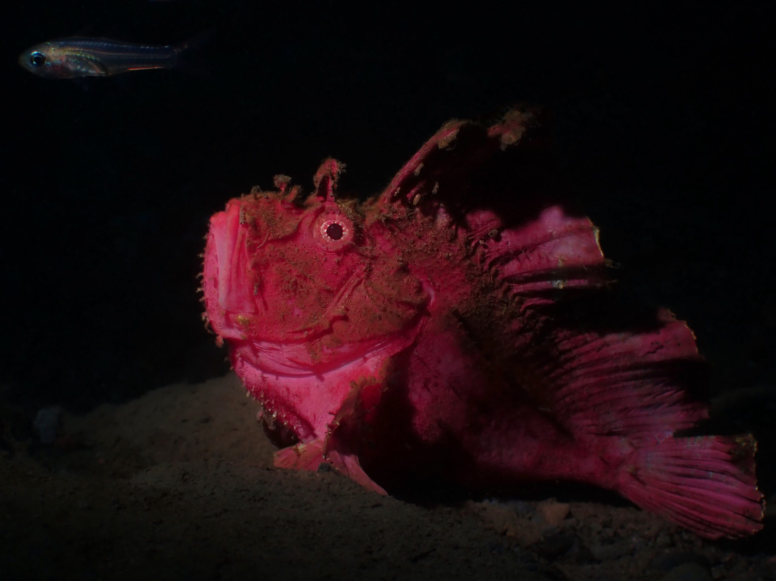 C8746AE7-488C-4186-BFB0-C87826F9CA68_1_201_a